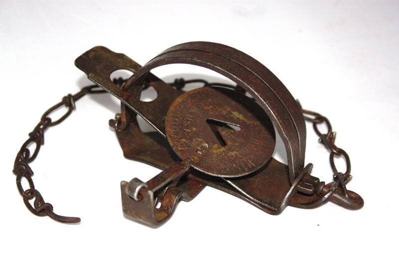 Jump Trap Trapping Today