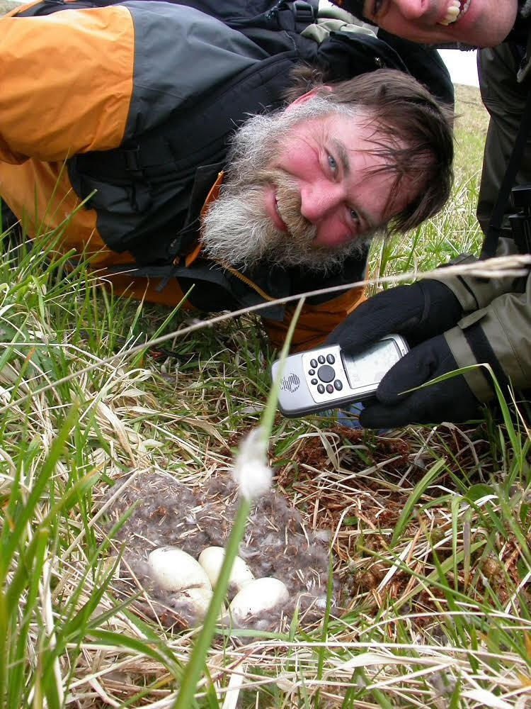 Biologist trapper retires after helping transform Alaska's Aleutian Islands Alaska Science