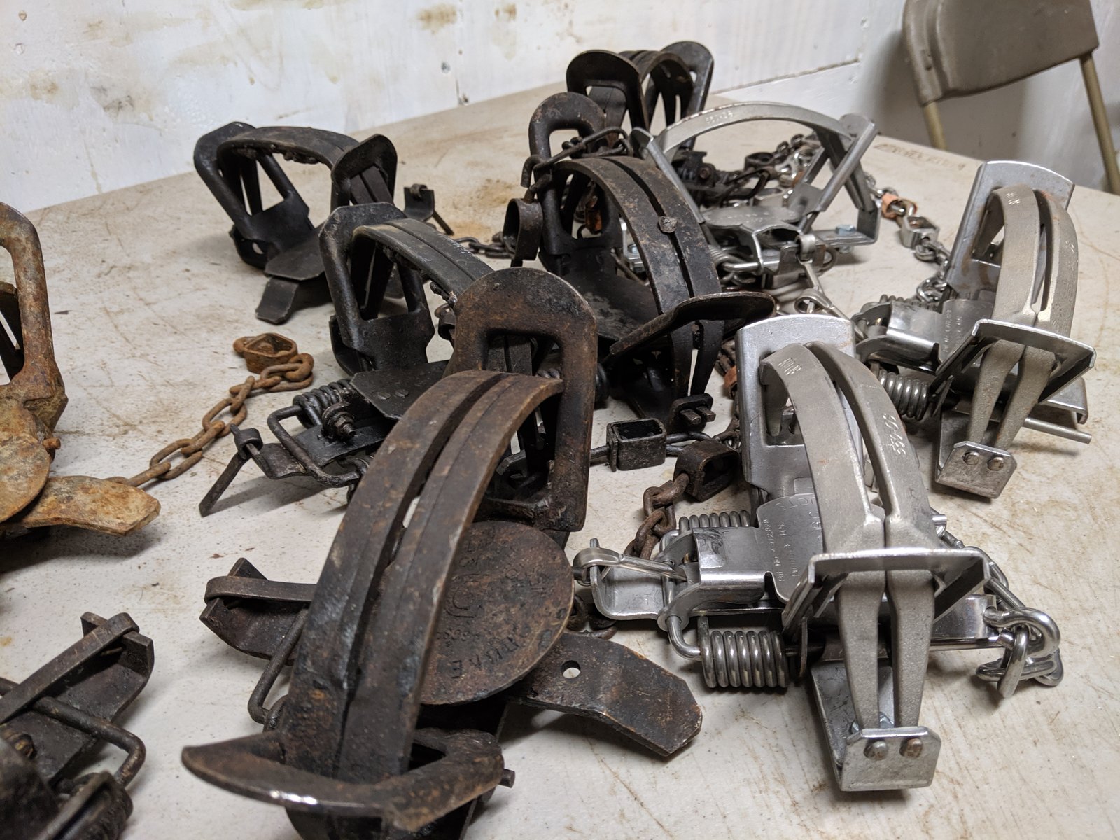 An Overview Of Coyote Traps Trapping Today